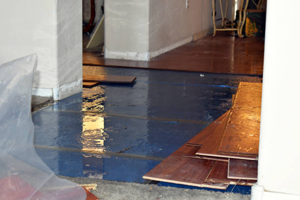 Professional Basement Flood Cleanup technician working in Bow, NH